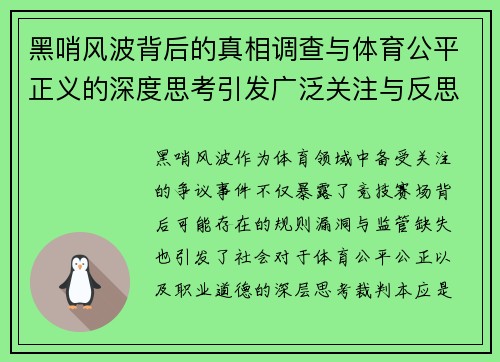 黑哨风波背后的真相调查与体育公平正义的深度思考引发广泛关注与反思